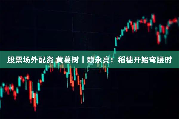 股票场外配资 黄葛树丨赖永亮：稻穗开始弯腰时