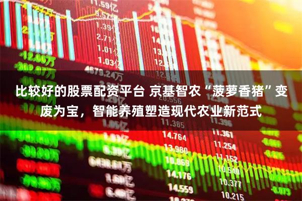 比较好的股票配资平台 京基智农“菠萝香猪”变废为宝，智能养殖塑造现代农业新范式