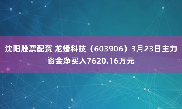 沈阳股票配资 龙蟠科技（603906）3月23日主力资金净买入7620.16万元