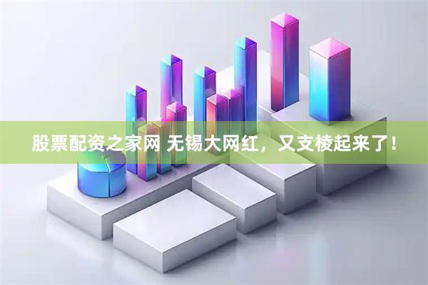 股票配资之家网 无锡大网红，又支棱起来了！